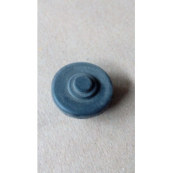 BOUTON RESET D15
