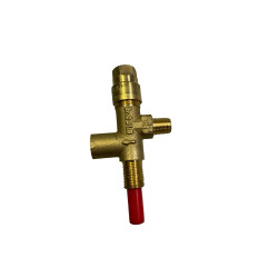 VANNE THERMIQUE POUR GP