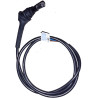 CELLULE PHOTO GIORDANO NOIRE POUR EC